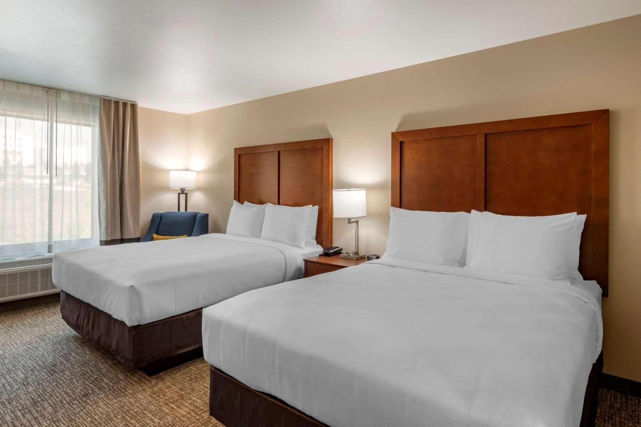 Comfort Inn & Suites Шарлотсвилл Экстерьер фото